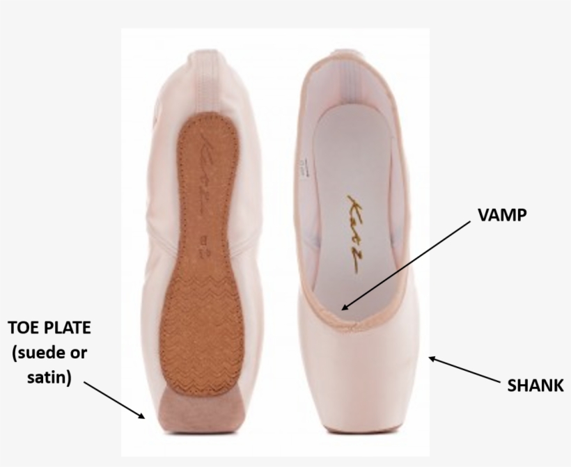 Parts Of The Pointe Shoe - Pointe Shoe Parts, transparent png download