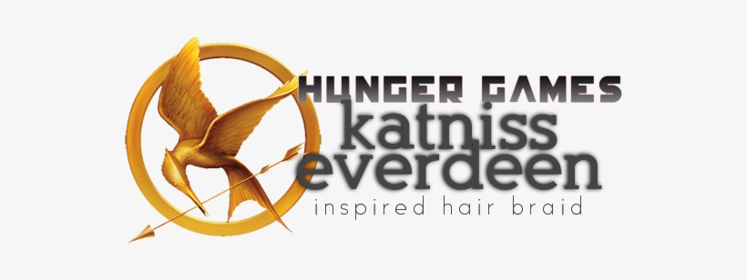 With The Release Of The Much Anticipated Movie The - Hunger Games Fan Book Covers, transparent png download