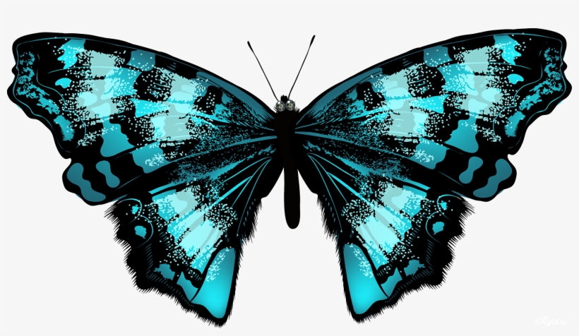 Butterfly Net Clipart - Яркие Бабочки Png, transparent png download