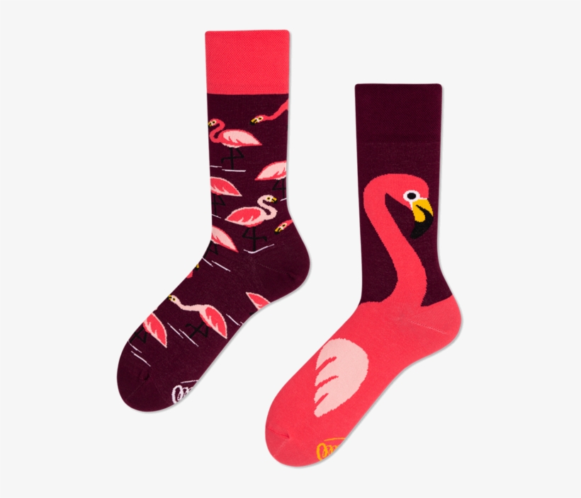 Pink Flamingo - Many Mornings Flamingi, transparent png download