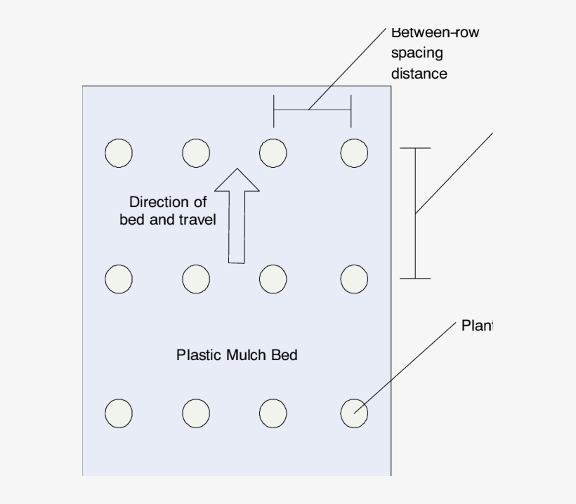 Top View Of Plastic Mulch Bed With Within Row And Between - Number, transparent png download