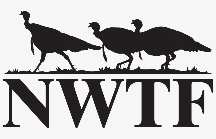 Welcome To The National Wild Turkey Federation - National Wildlife Turkey Federation, transparent png download