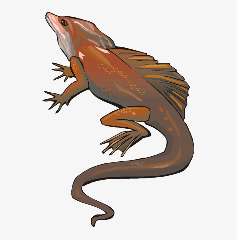 Split Tongue Lizard, transparent png download