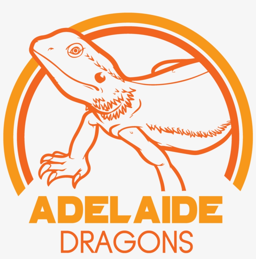 Inspiration - Lizard, transparent png download