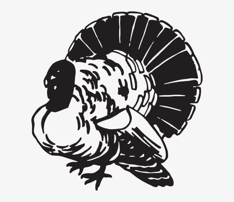 Decal, transparent png download