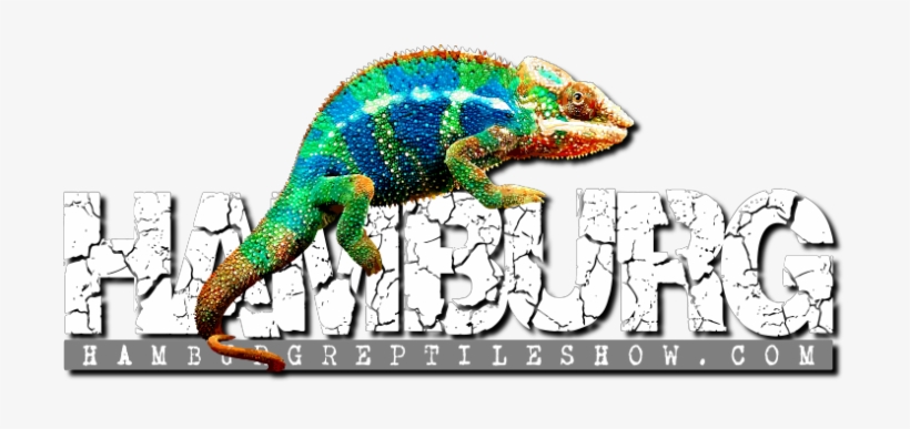 Hamburg Reptile Show, transparent png download