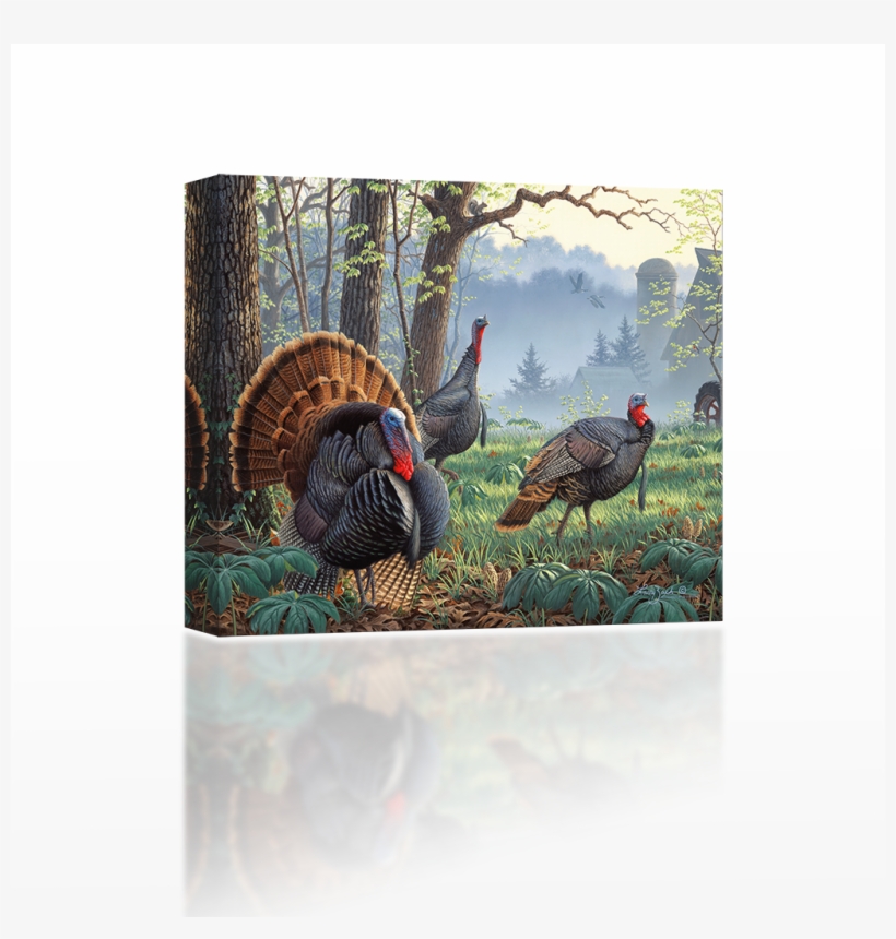 Wild Turkeys - Wild Turkey Paintings, transparent png download