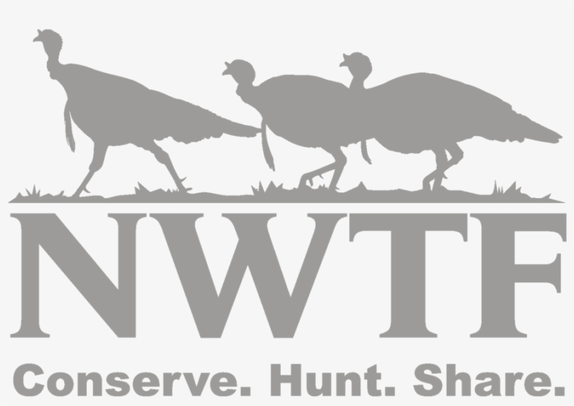 Download Outdoor Recreational Company Of America 20 - National Wildlife Turkey Federation, transparent png download