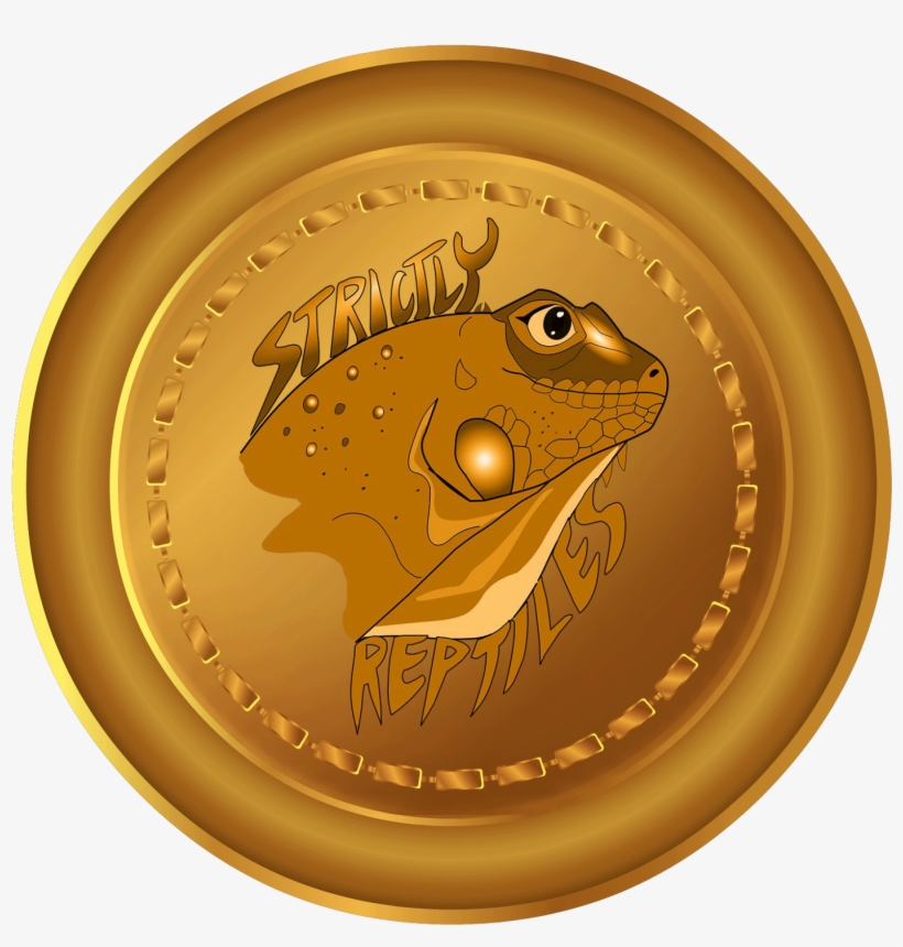 Product Search - Reptile, transparent png download