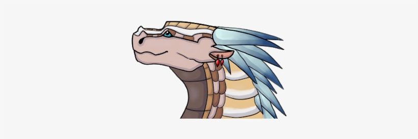 Photo - Photograph, transparent png download