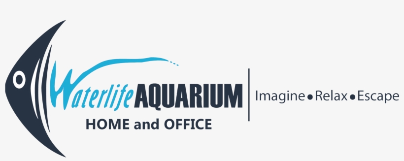 Logo1, transparent png download