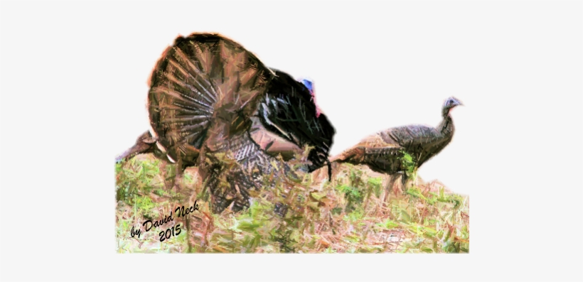 Lynch Has More Than Just Turkey Box Calls - Real Turkeys Iii: Spring Calling, transparent png download