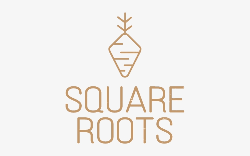 Square Roots Cafe - Ec3 Apparel & Promotions, transparent png download