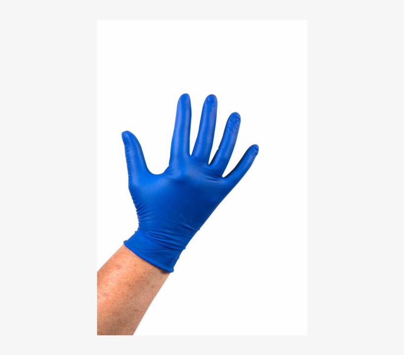 Comfort Glove, Latex, Powder Free, Xl, Blue - Glove, transparent png download