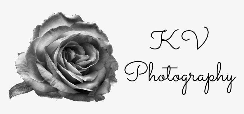 Kyani Vullings - Kv Photography Logo Png, transparent png download