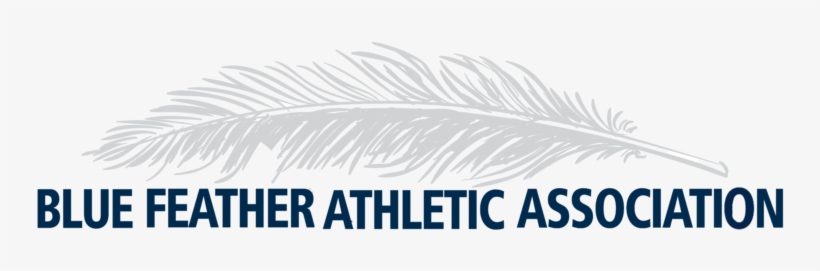 Blue Feather Athletic Association - Burberry The Beat, transparent png download