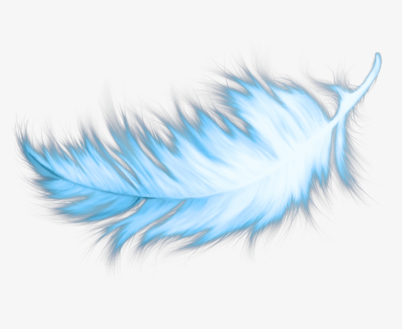Feather, transparent png download