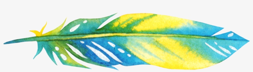 Sessions Might Include These Tools And Experiences - Houseplant, transparent png download