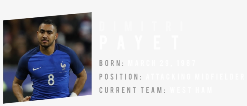 Michel Platini Was 29 When He Led France To Glory At - Politics And The Environment: From Theory To Practice, transparent png download