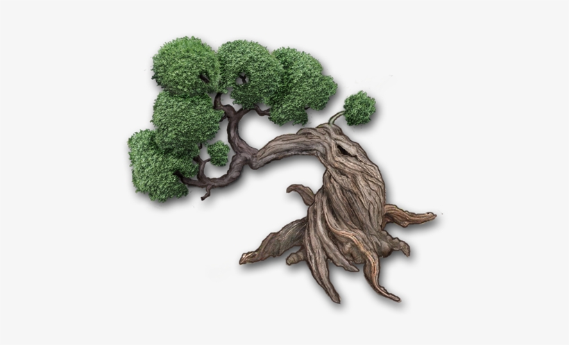 Bonsai Trees - Zip - Oak, transparent png download
