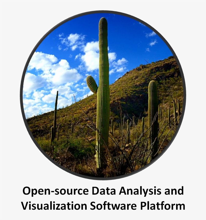 Saguaro - Loft, transparent png download