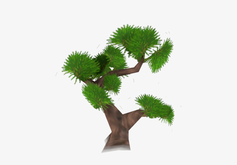 Download Zip Archive - Sabal Palmetto, transparent png download