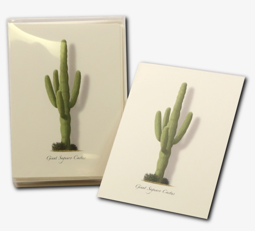 Shopping Cart -  -  - Hedgehog Cactus, transparent png download