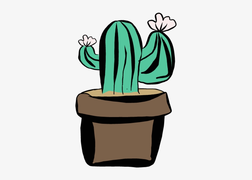 Hedgehog Cactus, transparent png download