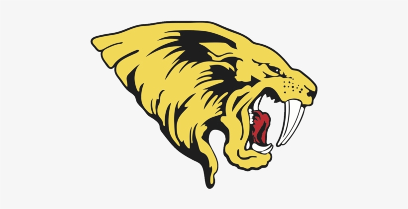 Saguaro Sabercats - Saguaro Sabercats Football Logo, transparent png download