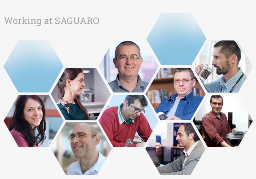 Saguaro Community And Careers - Career, transparent png download