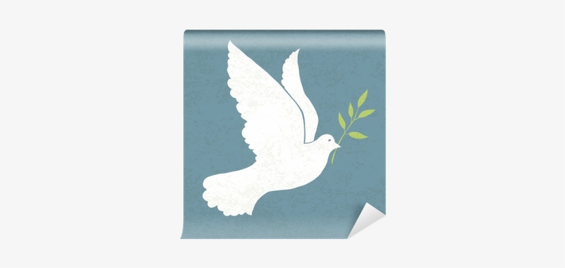 Dove With Olive Branch - Comfort My People: Saith Your God, transparent png download