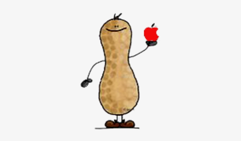 Kevin Owens - Turtle Nut Tile Coaster, transparent png download