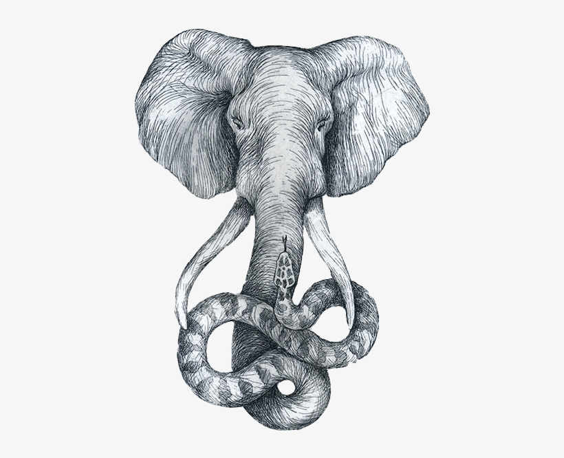 Jpg Black And White Elephant Sketch Headed Snake - Elefante Sketch, transparent png download