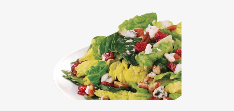 Our Menu - Salad For A Menu, transparent png download