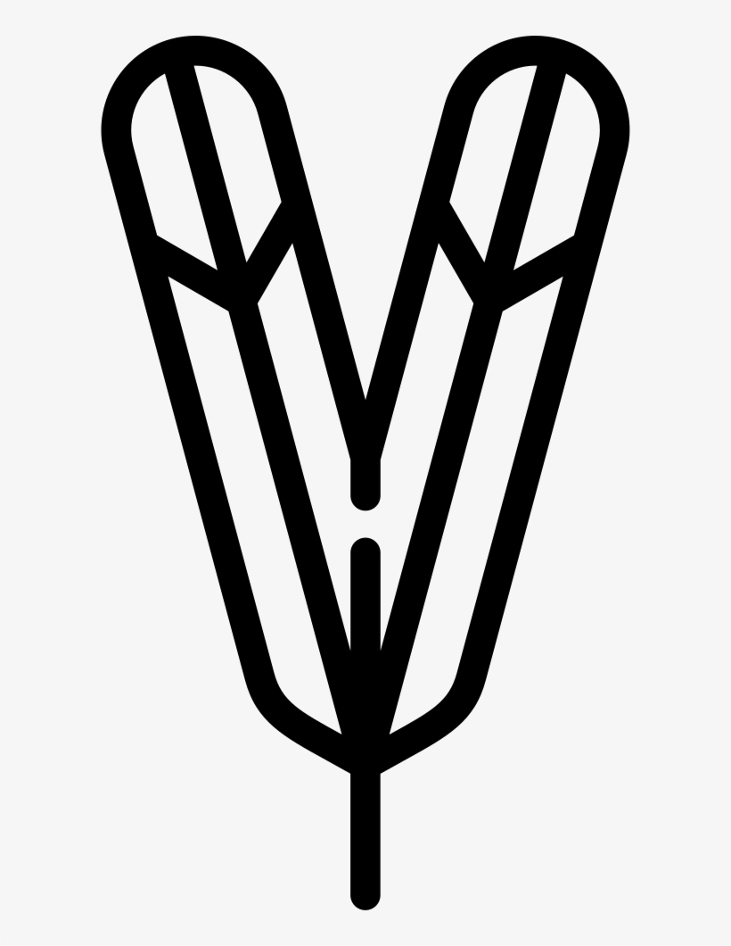 Feathers Comments - Feather, transparent png download