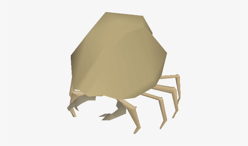Sand Crab V1 - Pacific Mole Crab, transparent png download