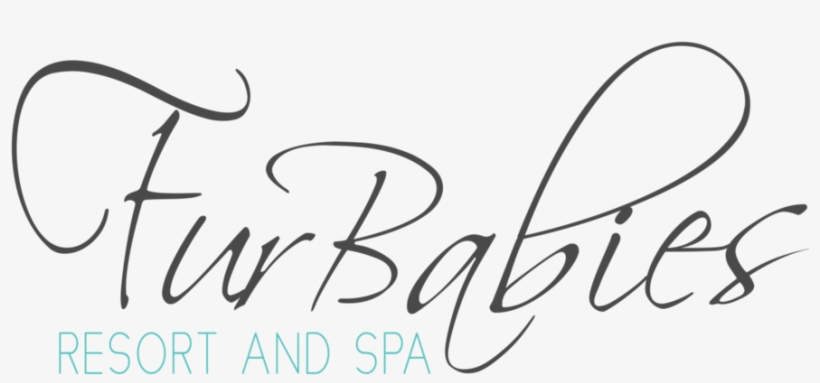 Static Png, transparent png download