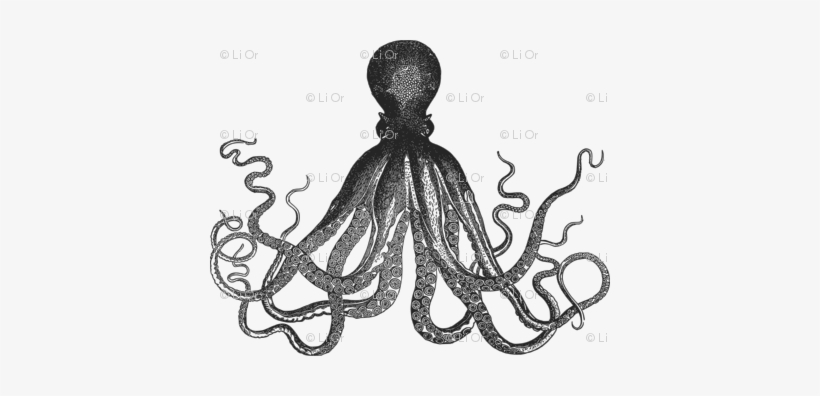 White Vintage Kraken Octopus Pattern - Kraken Black And White, transparent png download