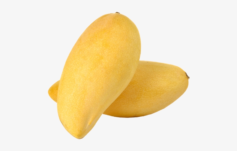 Thai Exporter Manufacturer And Supplier Namdokmai - Namdokmai Mango, transparent png download