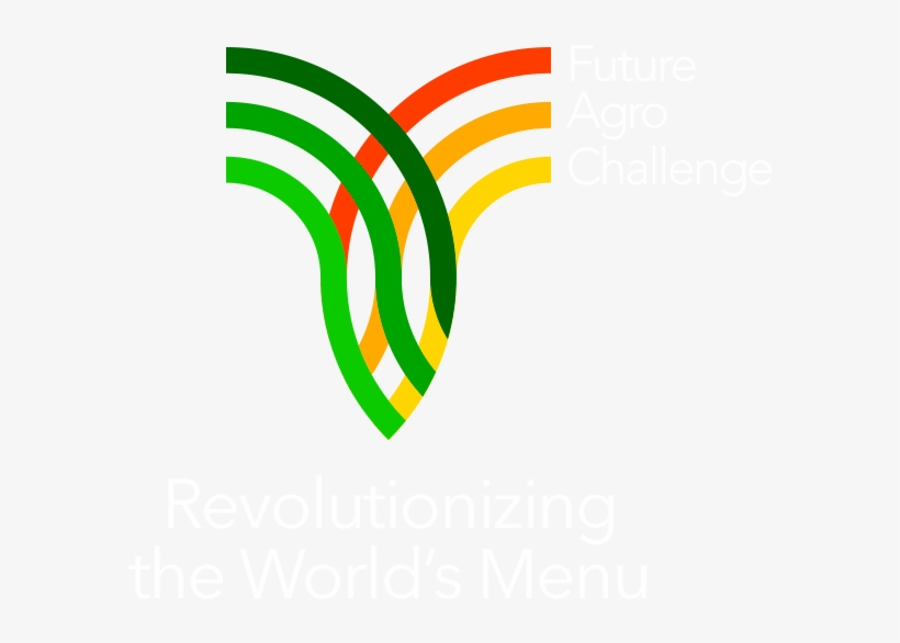 Graphic Design, transparent png download