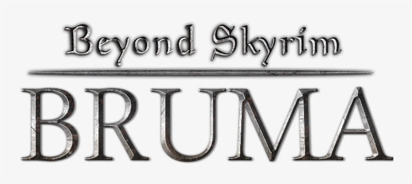 Make Sure You Have The Skse Memory Patch Enabled - Graphics, transparent png download