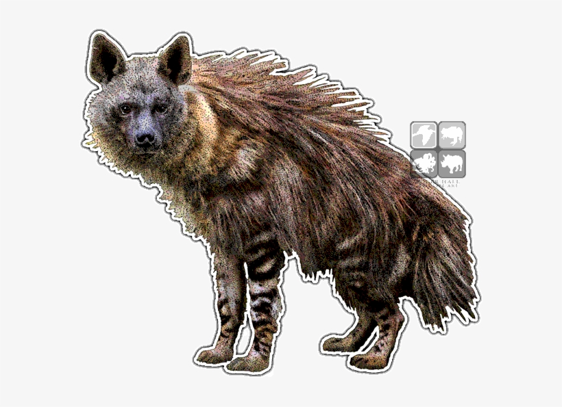 Brown Hyena - Hyena Art, transparent png download