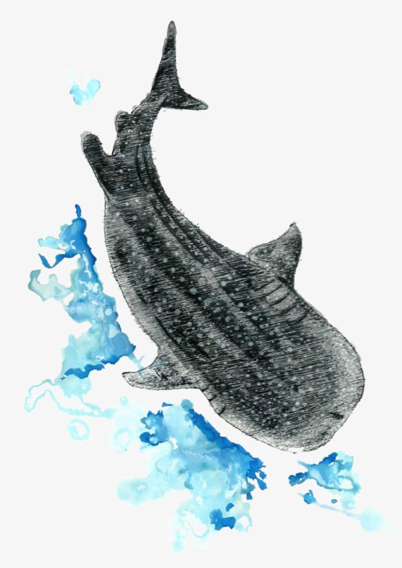 Illustration By Angelo Esperanzate, transparent png download