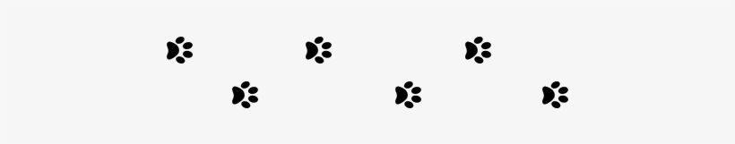 Dog Paw Print Png Download - Footprint, transparent png download