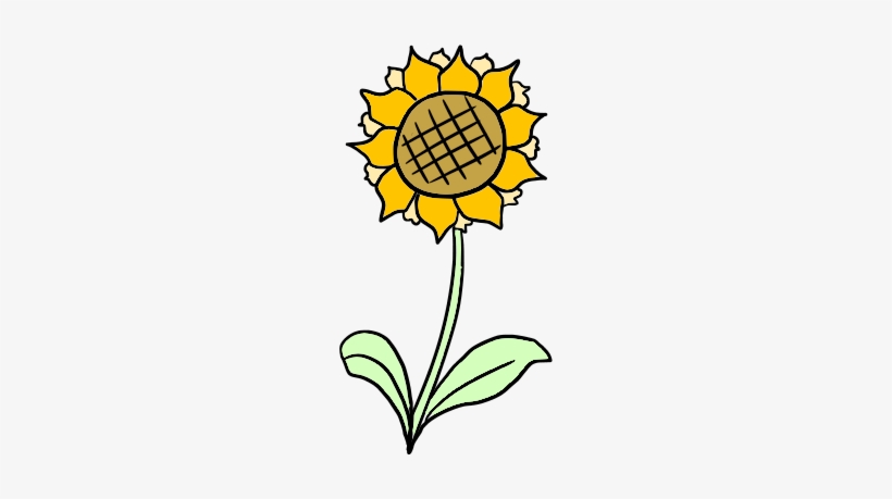 Sunflower - Common Sunflower, transparent png download