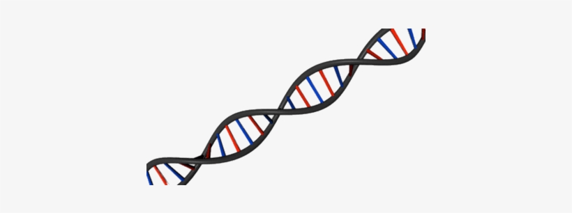 Dna String Diagonal - Dna Barcode, transparent png download