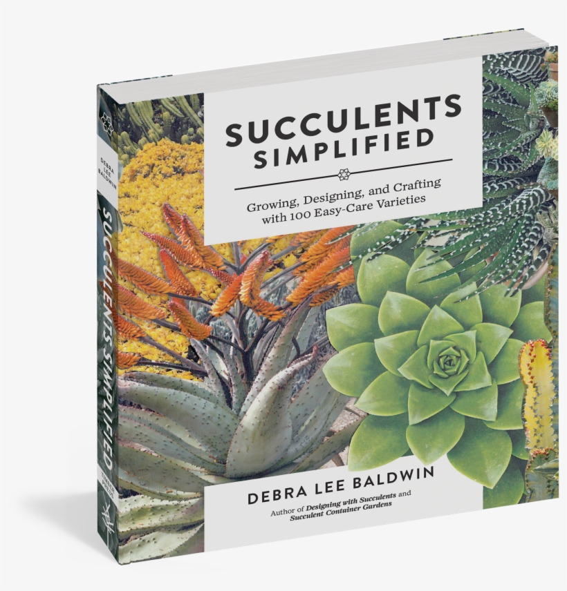 Cover - Succulents Simplified By Debra Lee Baldwin, transparent png download