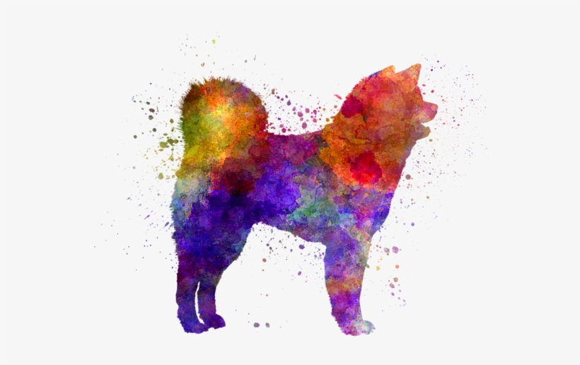 Bleed Area May Not Be Visible - Akita Inu 01 In Watercolor, transparent png download