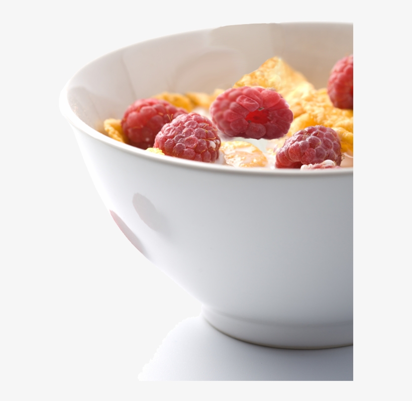 Climate Change, transparent png download