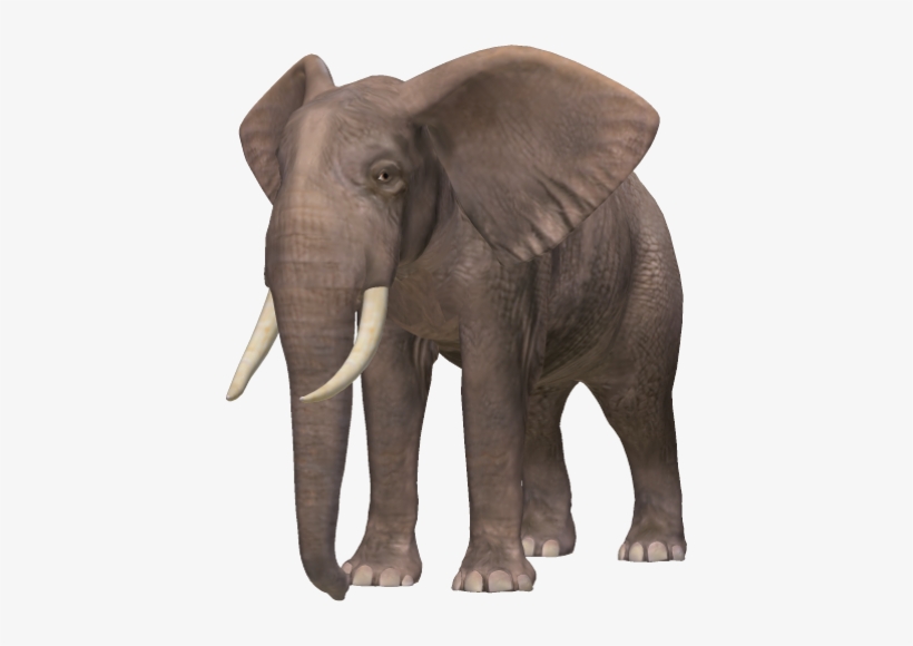 Download - Elephene Png, transparent png download